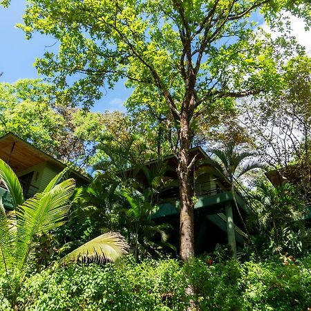 Arbol Verde Villas Ojochal Luaran gambar