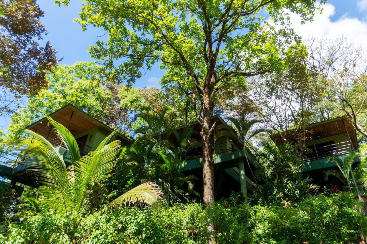 Arbol Verde Villas Ojochal Luaran gambar