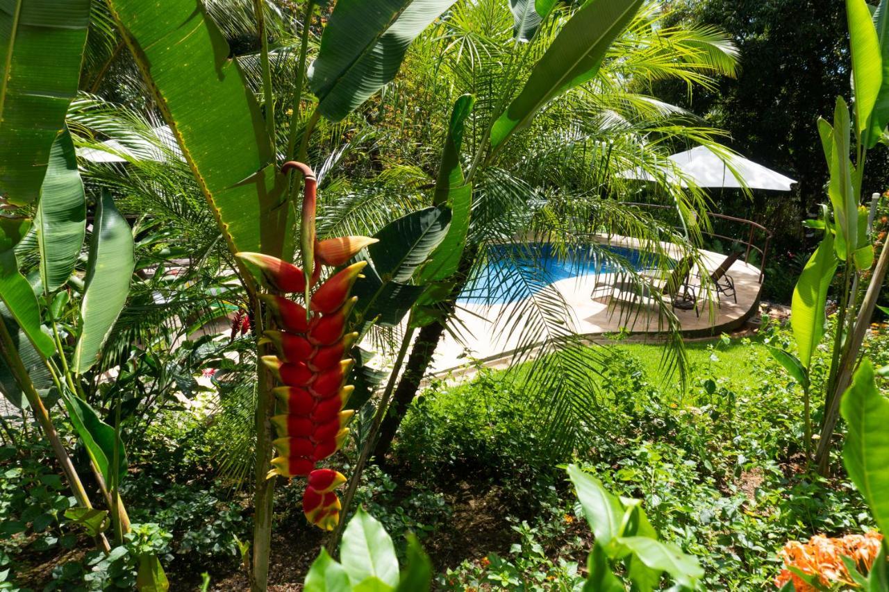 Arbol Verde Villas Ojochal Luaran gambar