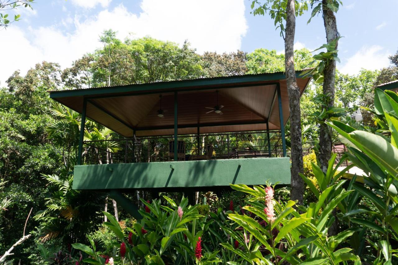 Arbol Verde Villas Ojochal Luaran gambar